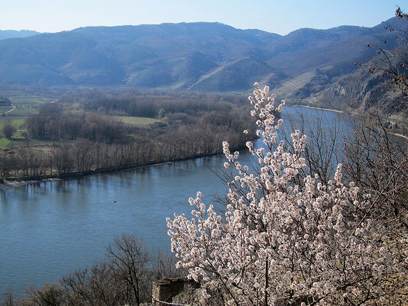 Wachau